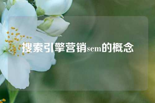 搜索引擎营销sem的概念