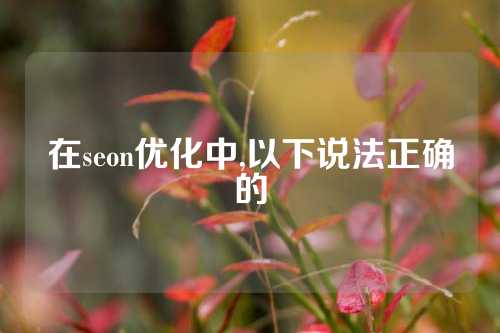 在seon优化中,以下说法正确的