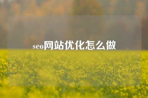 seo网站优化怎么做