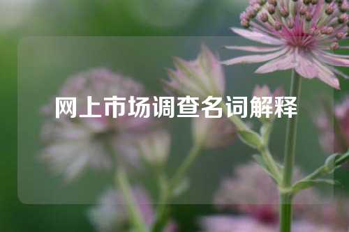 网上市场调查名词解释