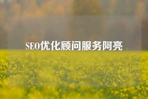 SEO优化顾问服务阿亮