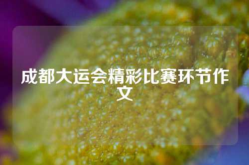 成都大运会精彩比赛环节作文