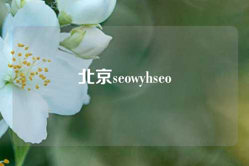 北京seowyhseo