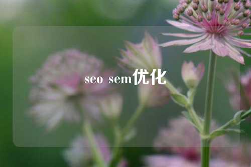 seo sem优化