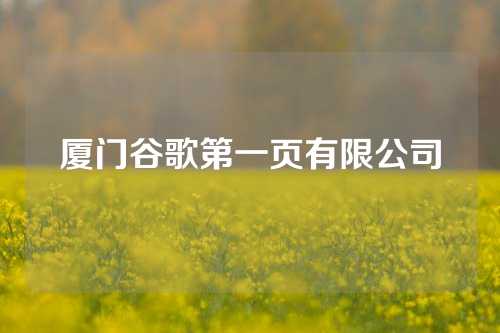 厦门谷歌第一页有限公司