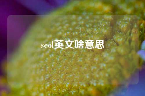 seol英文啥意思