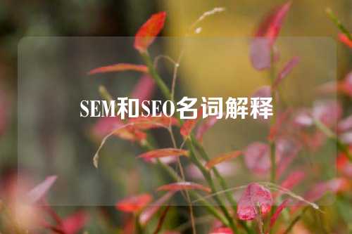 SEM和SEO名词解释