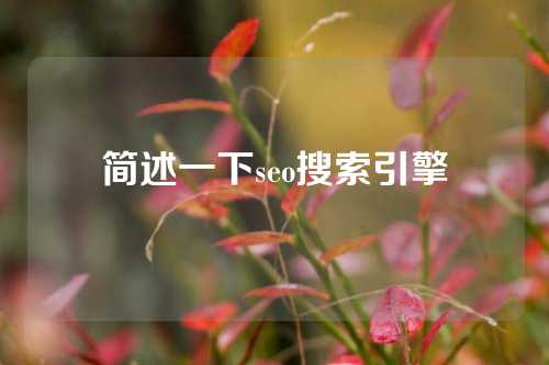 简述一下seo搜索引擎