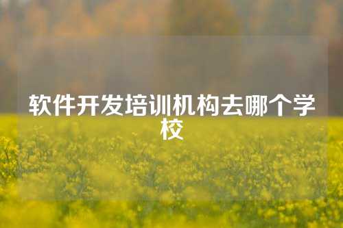 软件开发培训机构去哪个学校