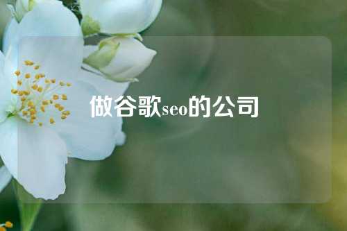 做谷歌seo的公司