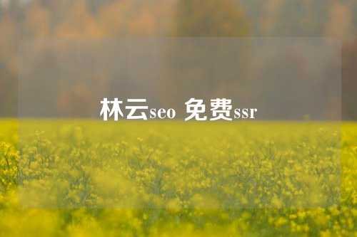 林云seo 免费ssr