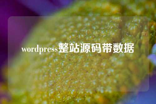 wordpress整站源码带数据