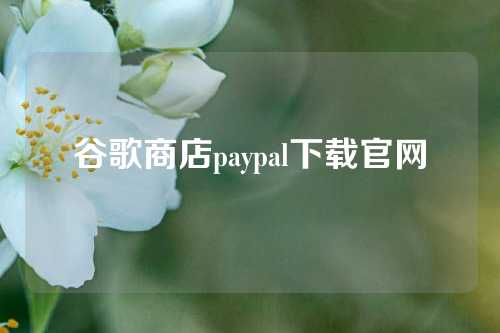 谷歌商店paypal下载官网