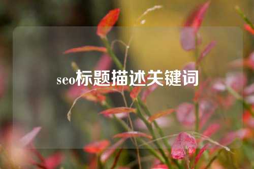 seo标题描述关键词