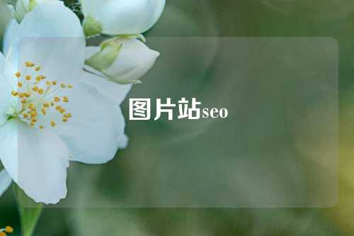 图片站seo