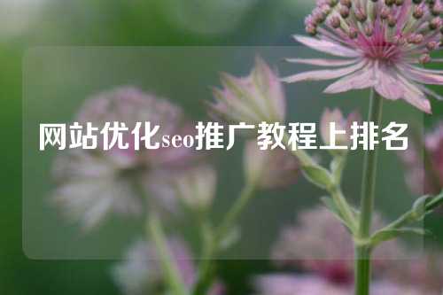 网站优化seo推广教程上排名