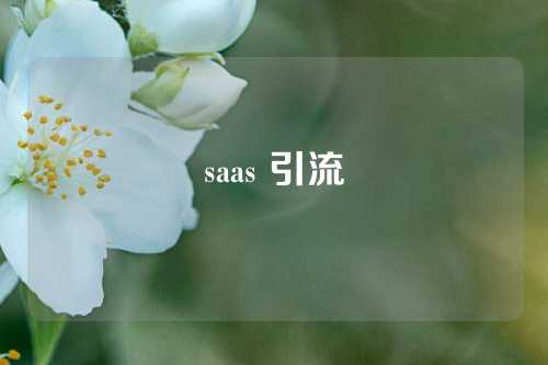 saas 引流