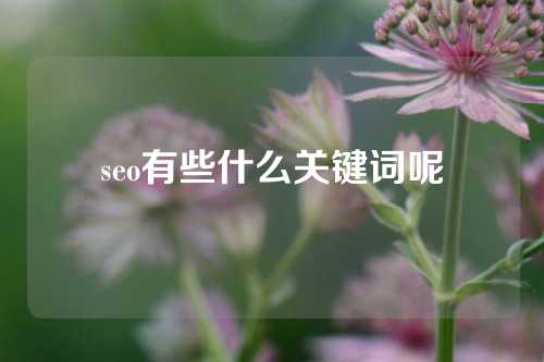 seo有些什么关键词呢