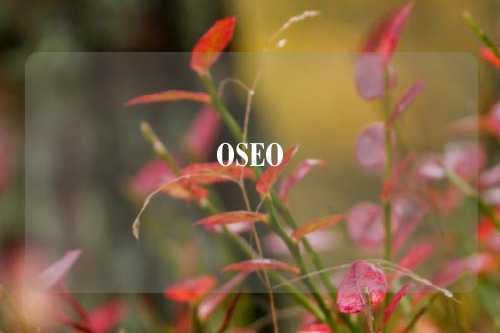 OSEO