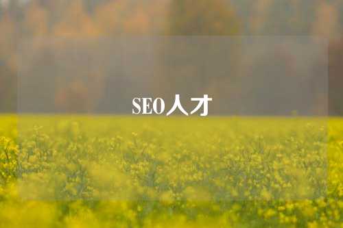 SEO人才