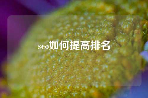 seo如何提高排名