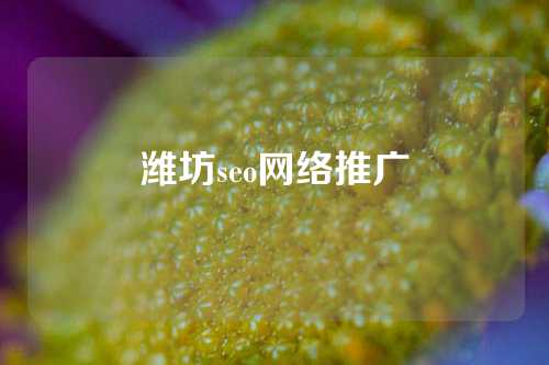 潍坊seo网络推广