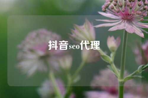 抖音seo代理