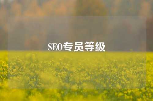 SEO专员等级