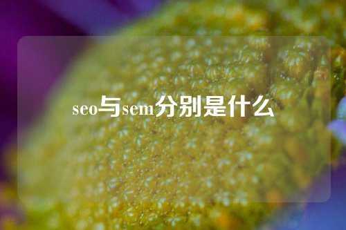 seo与sem分别是什么