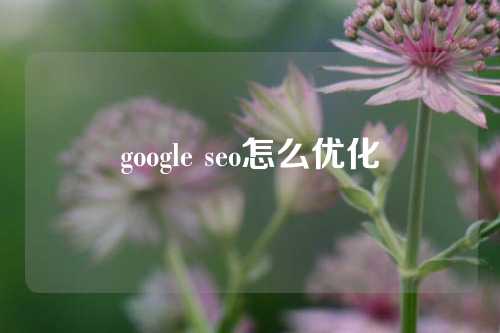 google seo怎么优化