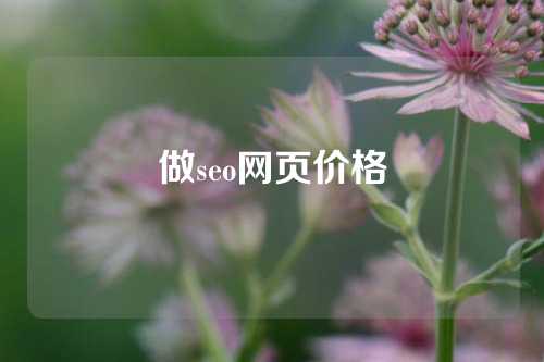 做seo网页价格