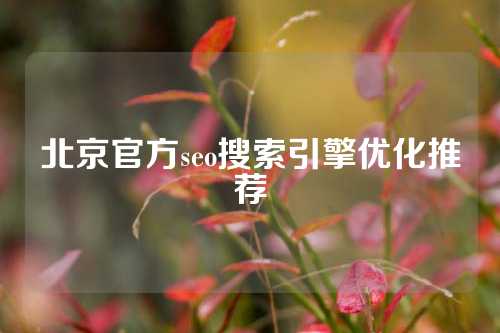 北京官方seo搜索引擎优化推荐