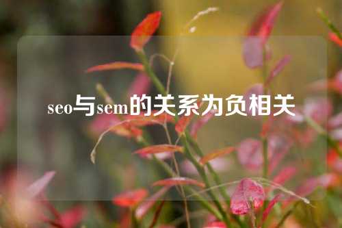 seo与sem的关系为负相关