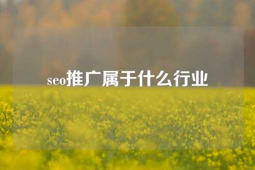 seo推广属于什么行业