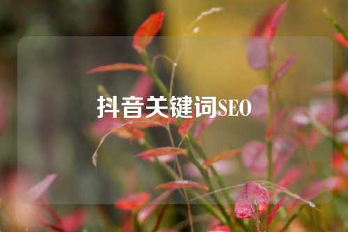 抖音关键词SEO