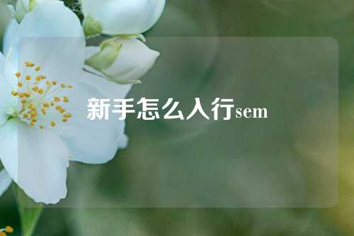 新手怎么入行sem