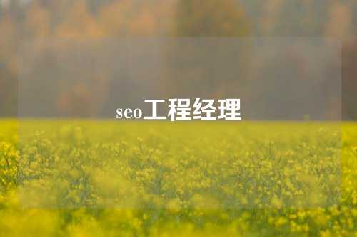 seo工程经理