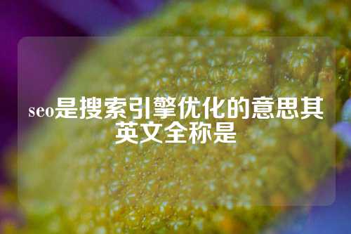 seo是搜索引擎优化的意思其英文全称是