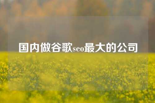 国内做谷歌seo最大的公司