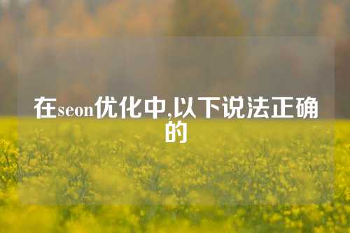 在seon优化中,以下说法正确的