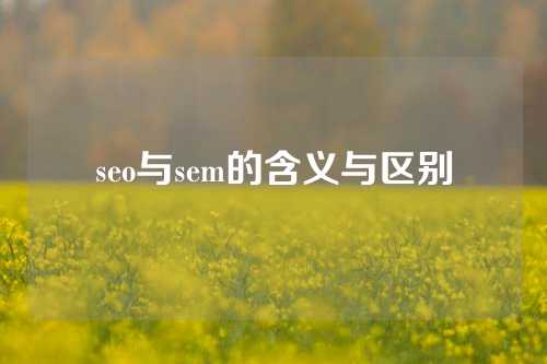 seo与sem的含义与区别