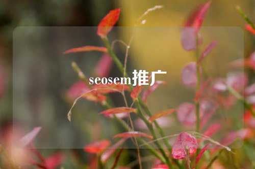 seosem推广