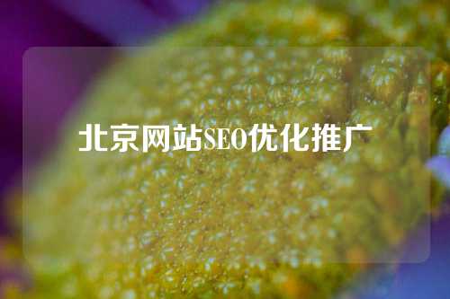 北京网站SEO优化推广