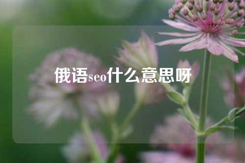 俄语seo什么意思呀