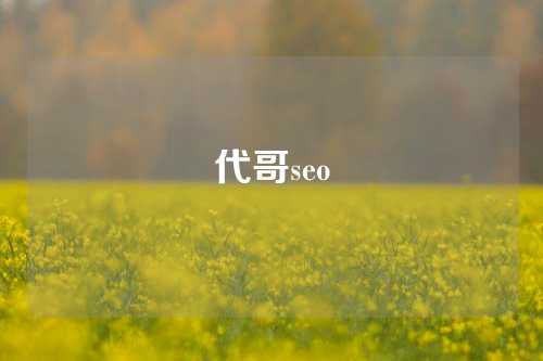 代哥seo