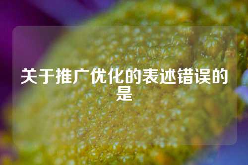 关于推广优化的表述错误的是