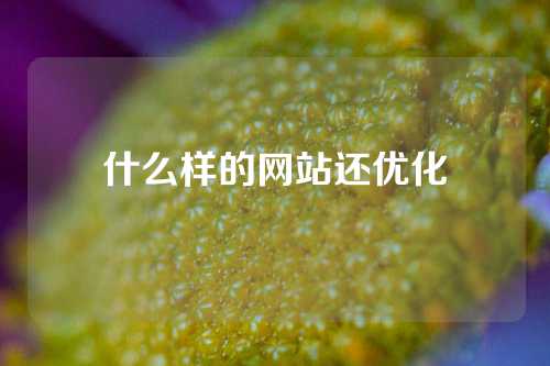 什么样的网站还优化