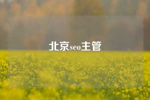 北京seo主管