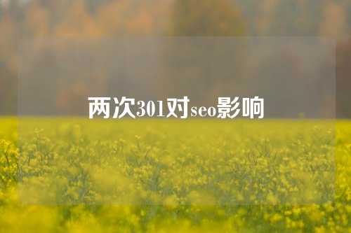 两次301对seo影响