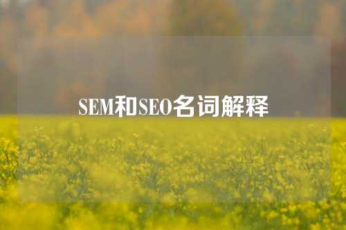 SEM和SEO名词解释